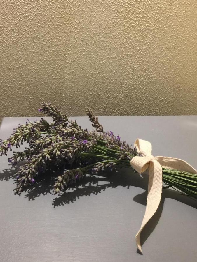 Appartamento Casina Bella Cortona Esterno foto